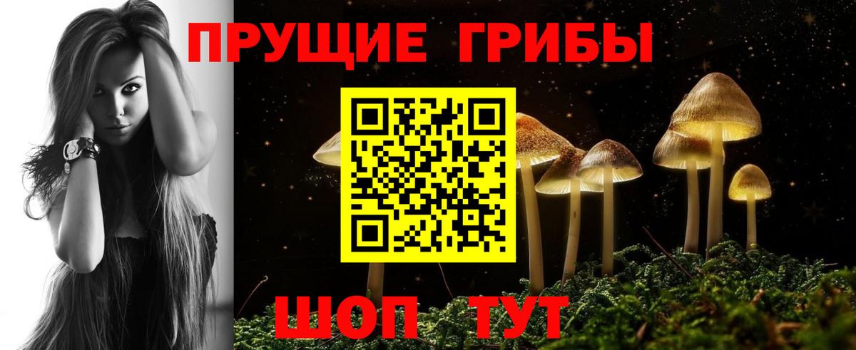 Псилоцибиновые грибы GOLDEN TEACHER  Вход с VPN  Калининград  Галлюциногенные грибы Cubensis 